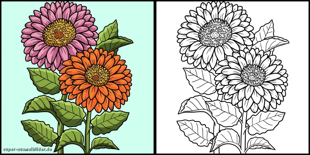 Ausmalbilder von schönen Blumen mit Farbbeispielen