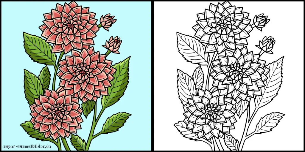 Blumen Malvorlagen mit Farbbeispielen zum Ausmalen