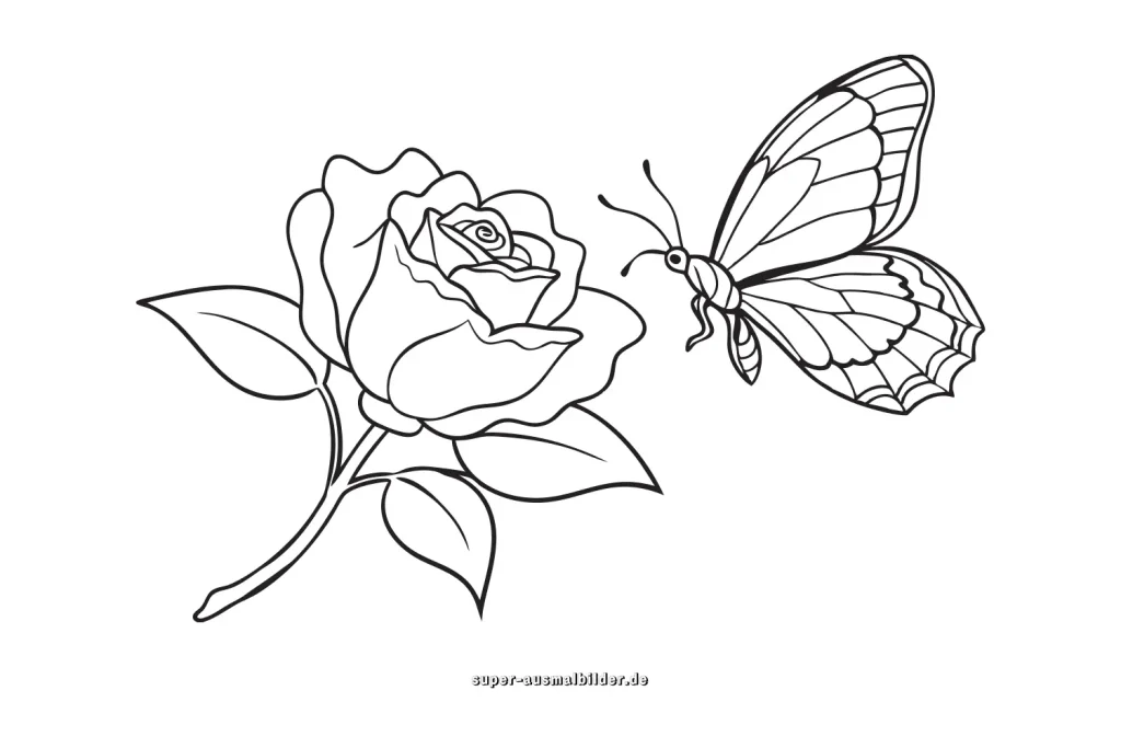 Färbung der Blumen