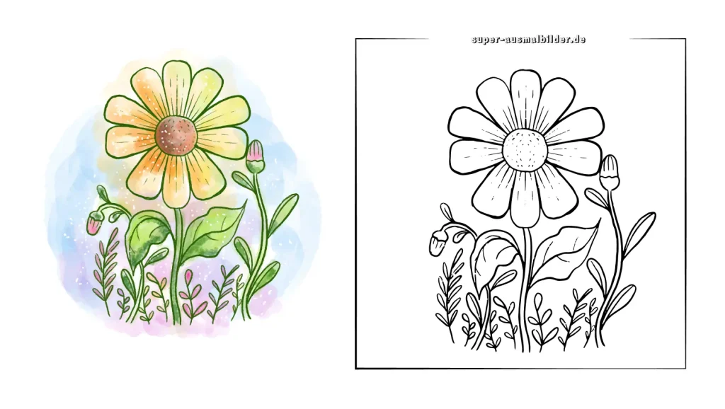 blumen zeichnen aquarell