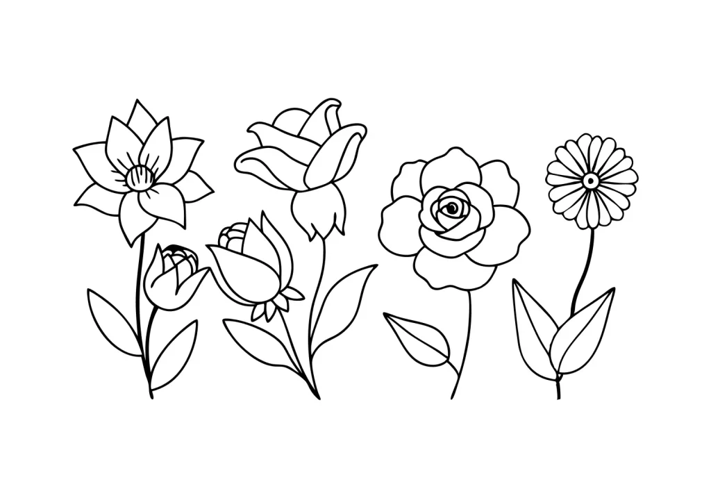 blumen zeichnen mit bleistift