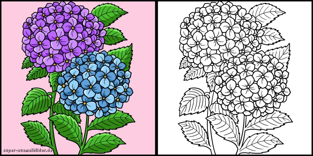 blumenbilder zum ausmalen