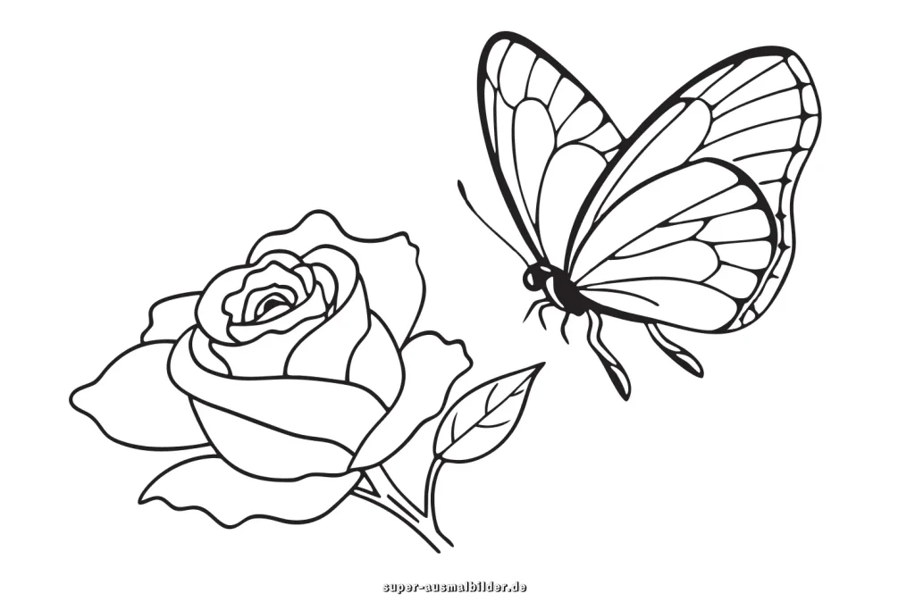 malvorlagen blumen und schmetterling