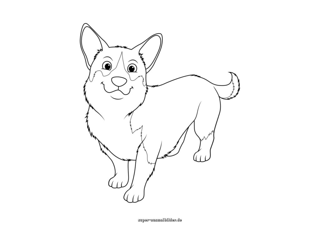 Ausmalbild Hund süßer Corgi mit großen Ohren, Hund Malvorlage zum Ausdrucken