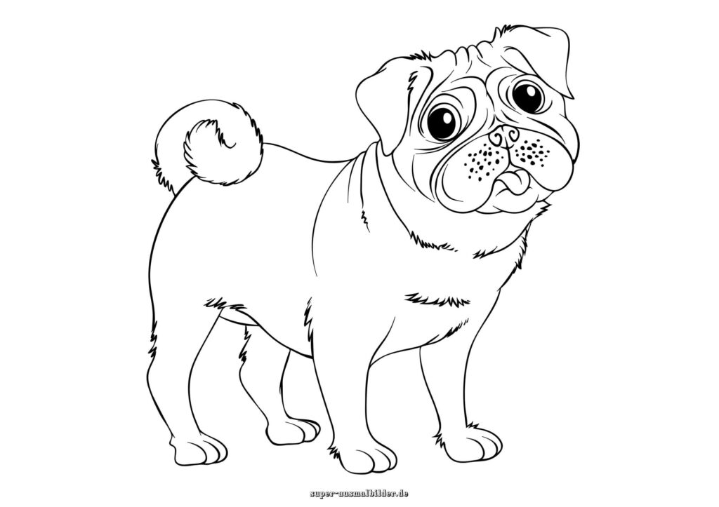 Ausmalbild Hund süßer Mops mit großen Augen, Hund Malvorlage zum Ausmalen