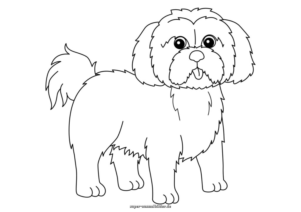 Ausmalbild Hund süßer langhaariger Hund mit Fell und Schwanz, Malvorlage Hund zum Ausdrucken
