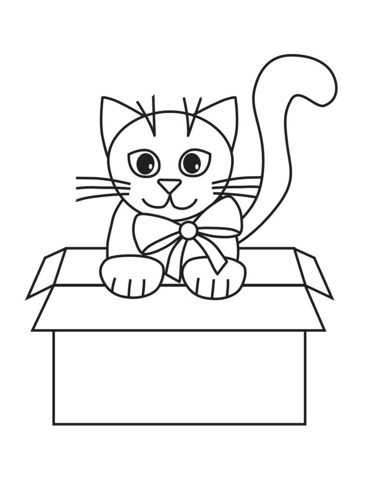 Ausmalbild Katze in der Box – süße Katzen Malvorlage zum Ausdrucken