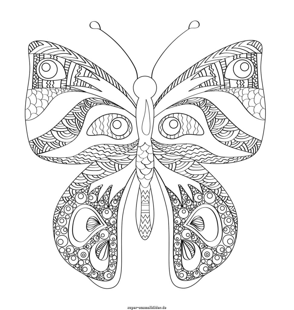 Ausmalbild Schmetterling Mandala – dekorativer Schmetterling mit feinen Linien und Ornamenten, Schmetterling Mandala zum Ausdrucken