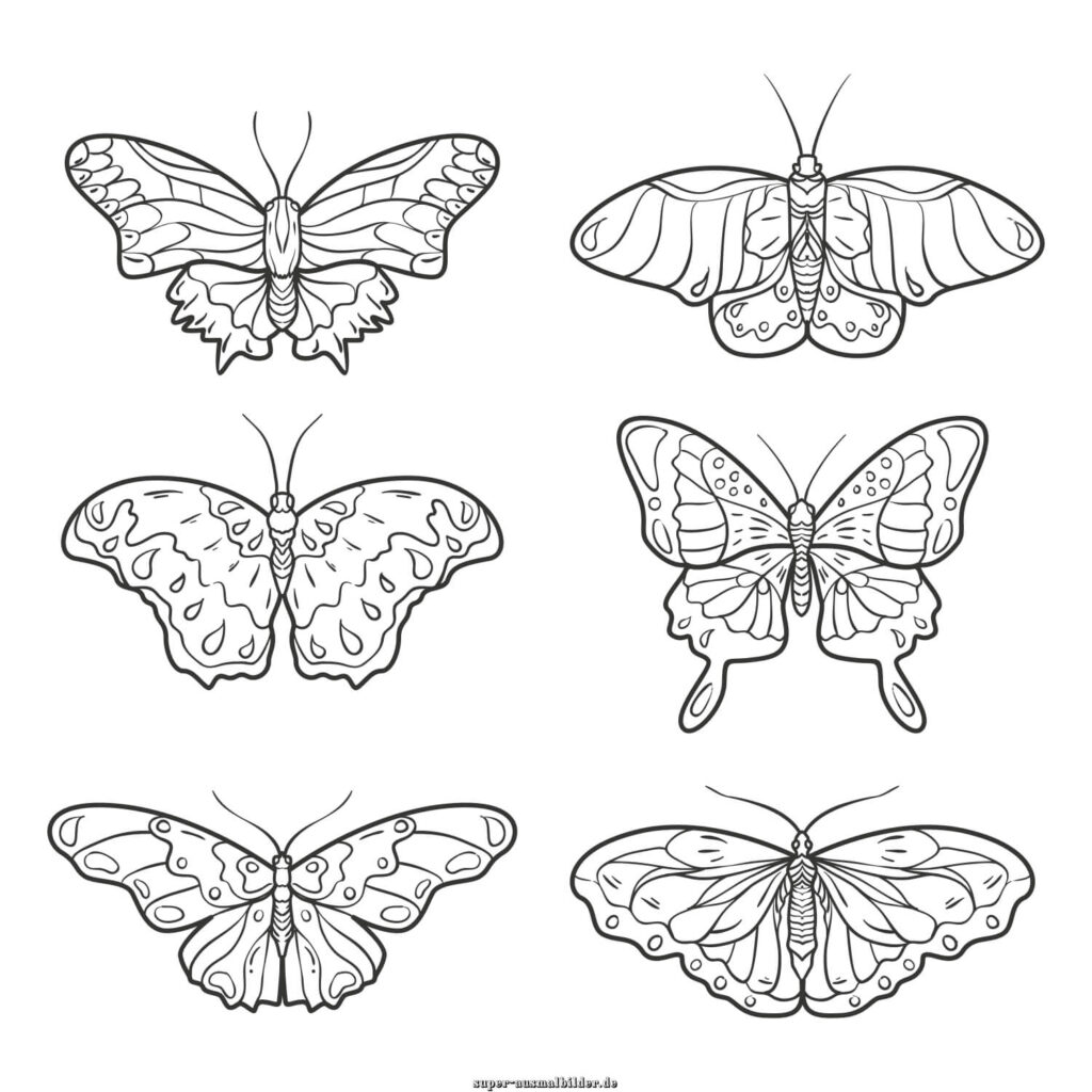 Ausmalbilder Schmetterling sechs verschiedene Schmetterlinge mit Mustern, Schmetterling Malvorlagen kostenlos