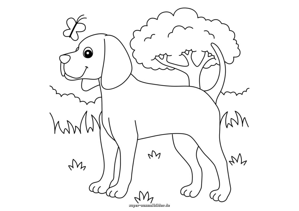 Hund Ausmalbild fröhlicher Hund im Garten mit Schmetterling, Malvorlage Hund für Kinder