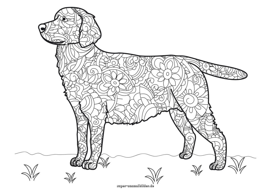 Hund Ausmalbilder dekorativer Hund mit Mandala Mustern, Malvorlage Hund für Erwachsene