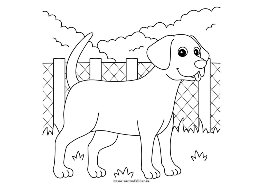 Hund Ausmalbilder freundlicher Hund vor Zaun im Garten, einfache Hund Malvorlage für Kinder