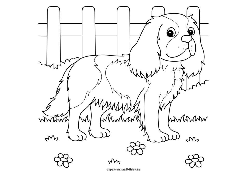 Hund Malvorlage süßer Spaniel im Garten mit Blumen, Hund Ausmalbild für Kinder