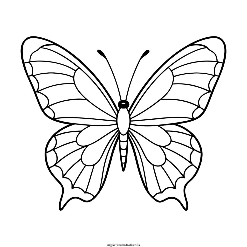 Malvorlage Schmetterling realistischer Schmetterling mit detaillierten Flügeln, Schmetterling Ausmalbild kostenlos