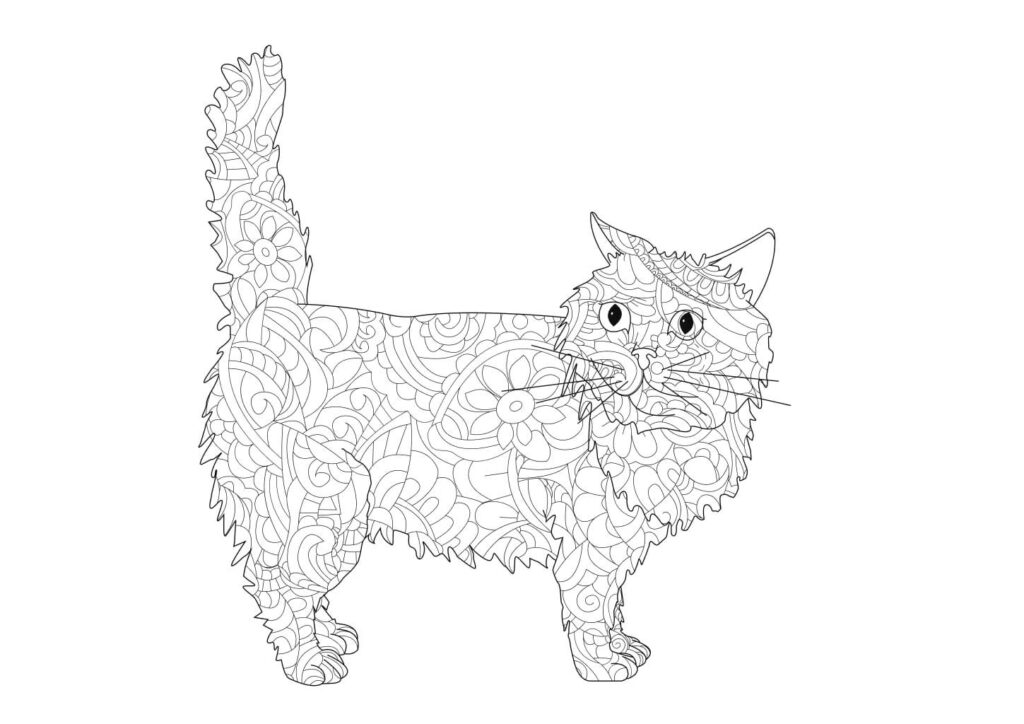 Mandala Katze Ausmalbild – kreative Katzen Malvorlage für Erwachsene
