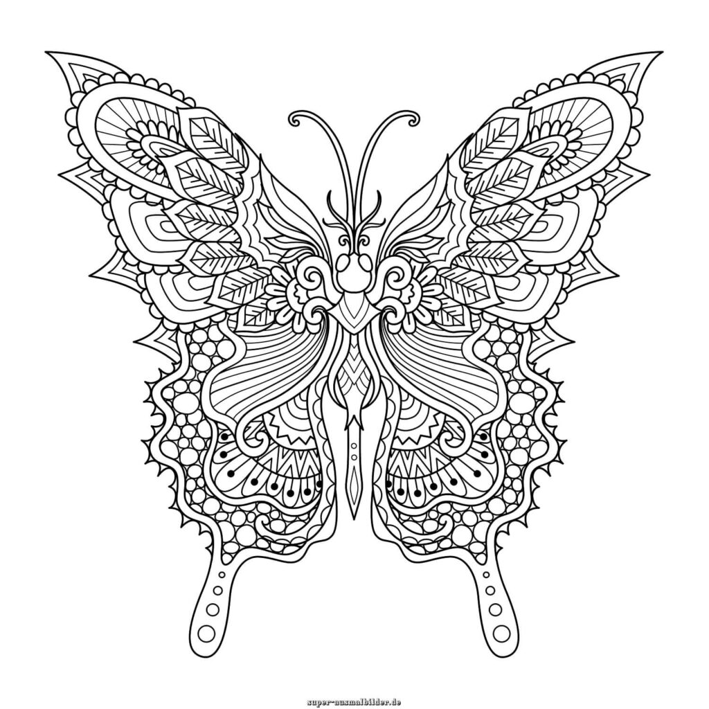 Mandala Schmetterling Ausmalbild – Schmetterling mit symmetrischen Flügelmustern, Ausmalbilder Schmetterling Mandala