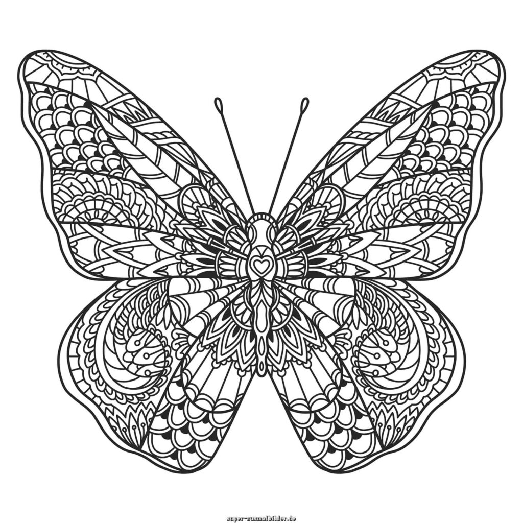 Schmetterling Ausmalbild Mandala detaillierter Schmetterling mit Ornamenten, Ausmalbilder Schmetterling Erwachsene