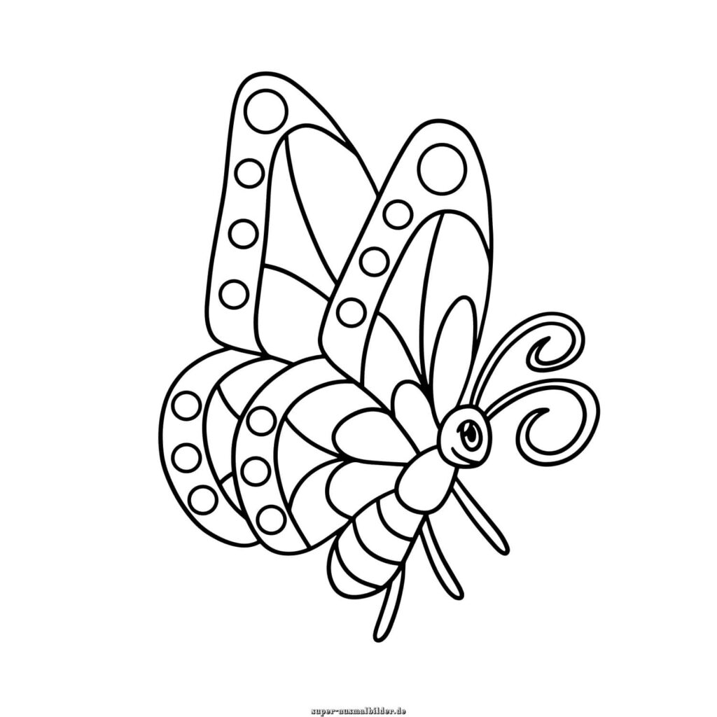 Schmetterling Ausmalbild bunter Schmetterling mit großen Flügeln und Mustern, Schmetterling Malvorlage zum Ausmalen