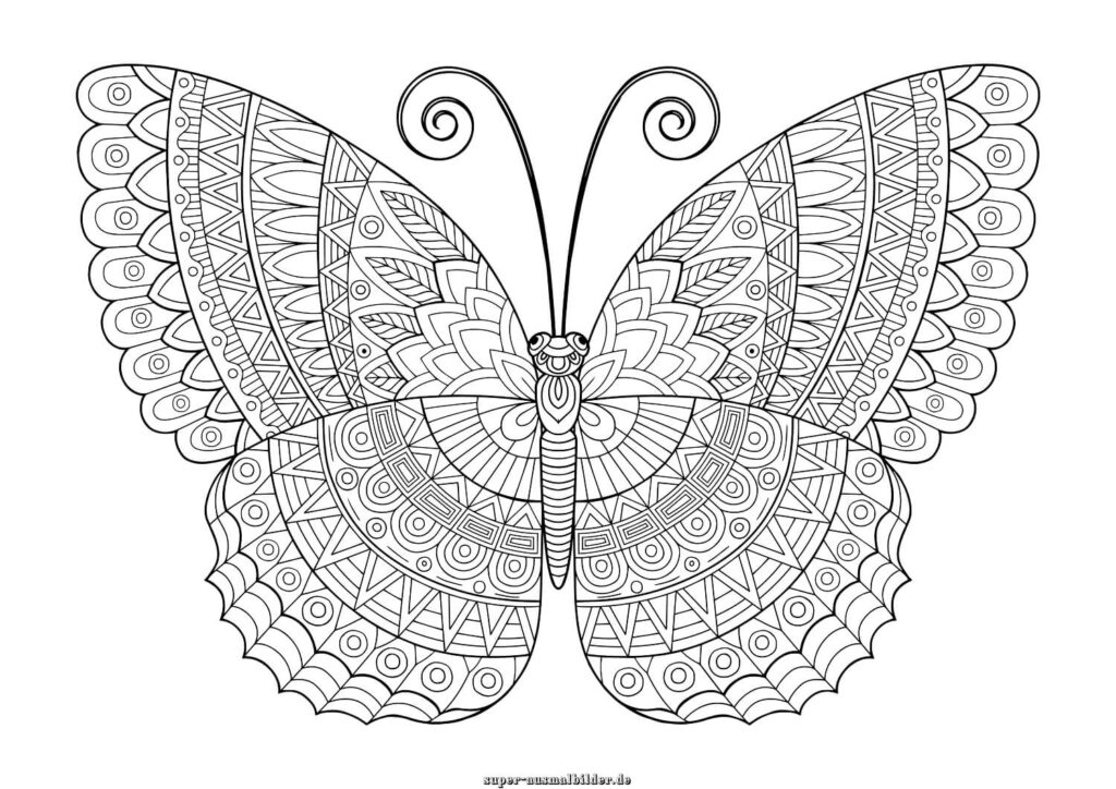 Schmetterling Mandala Ausmalbild – eleganter Schmetterling mit kunstvollen Mustern, Ausmalbilder Schmetterling Mandala kostenlos
