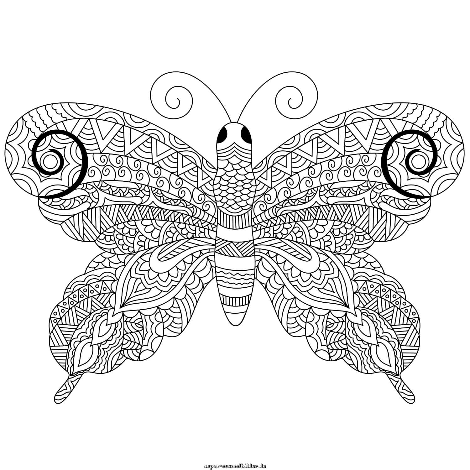 Schmetterling Mandala Malvorlage – kunstvoller Schmetterling mit geometrischen Ornamenten, Schmetterling Mandala Ausmalbild
