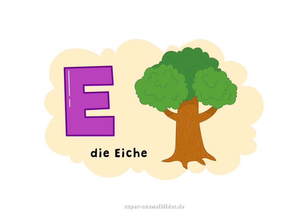 – Deutsches Alphabet Buchstabe E mit Wortbeispiel „die Eiche“ – großer lila E Buchstabe und Eichenbaum, Bildkarte für Kinder