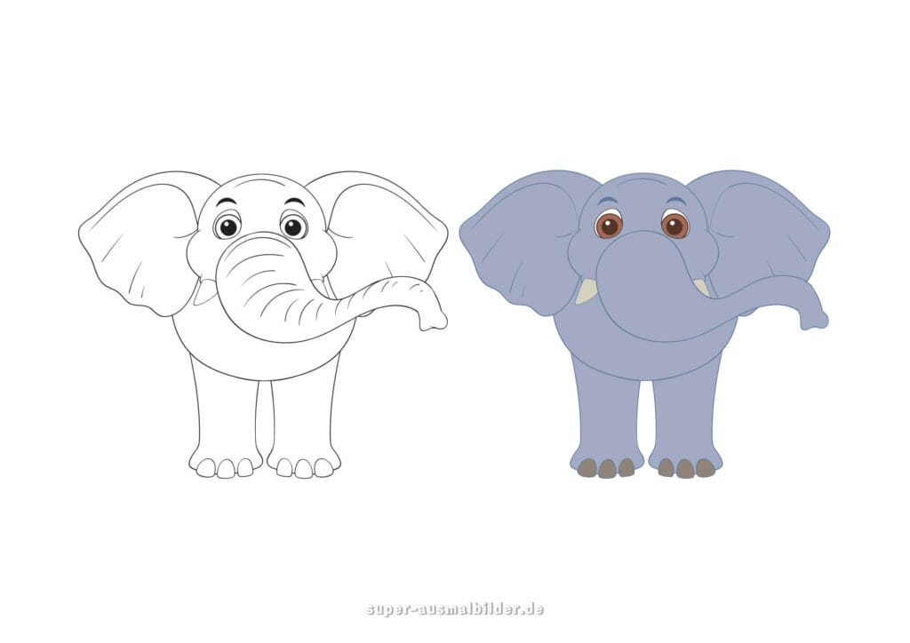 Ausmalbild Elefant Elefant von vorne mit großem Rüssel, Malvorlage zum Ausmalen für Kinder