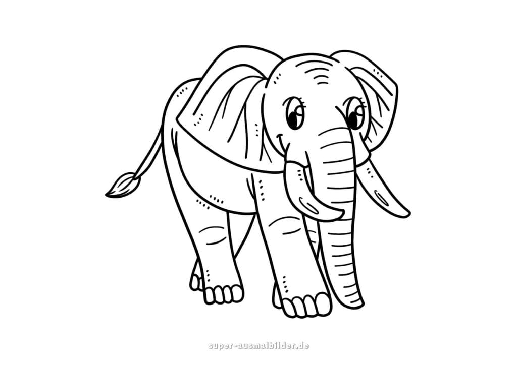 Ausmalbild Elefant stehender Elefant mit großen Ohren und Stoßzähnen, kostenlose Malvorlage