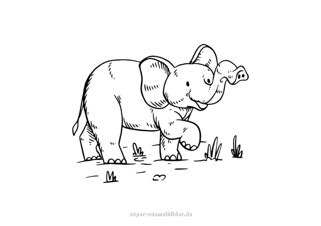 Ausmalbild Elefant – Kleine Elefanten Skizze im Gras, Vorlage zum Ausmalen für Kinder kostenlos