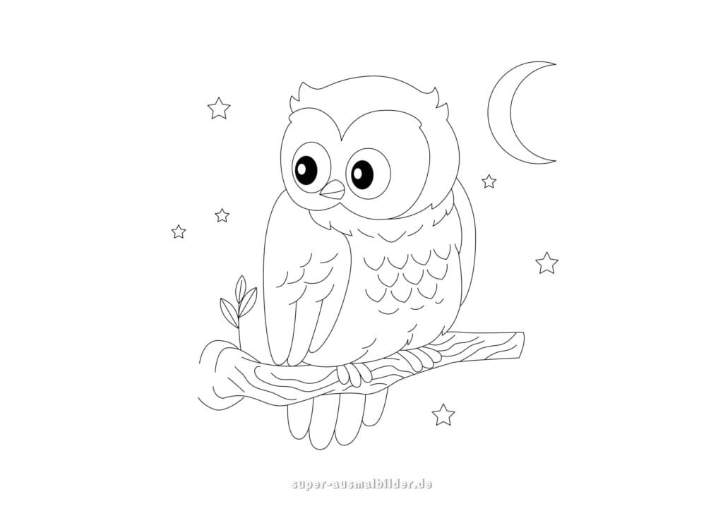 Ausmalbild Eule Niedliche Eule auf Ast mit großem Mond und Sternen in der Nacht, kostenlose Bilder zum Ausmalen und Drucken