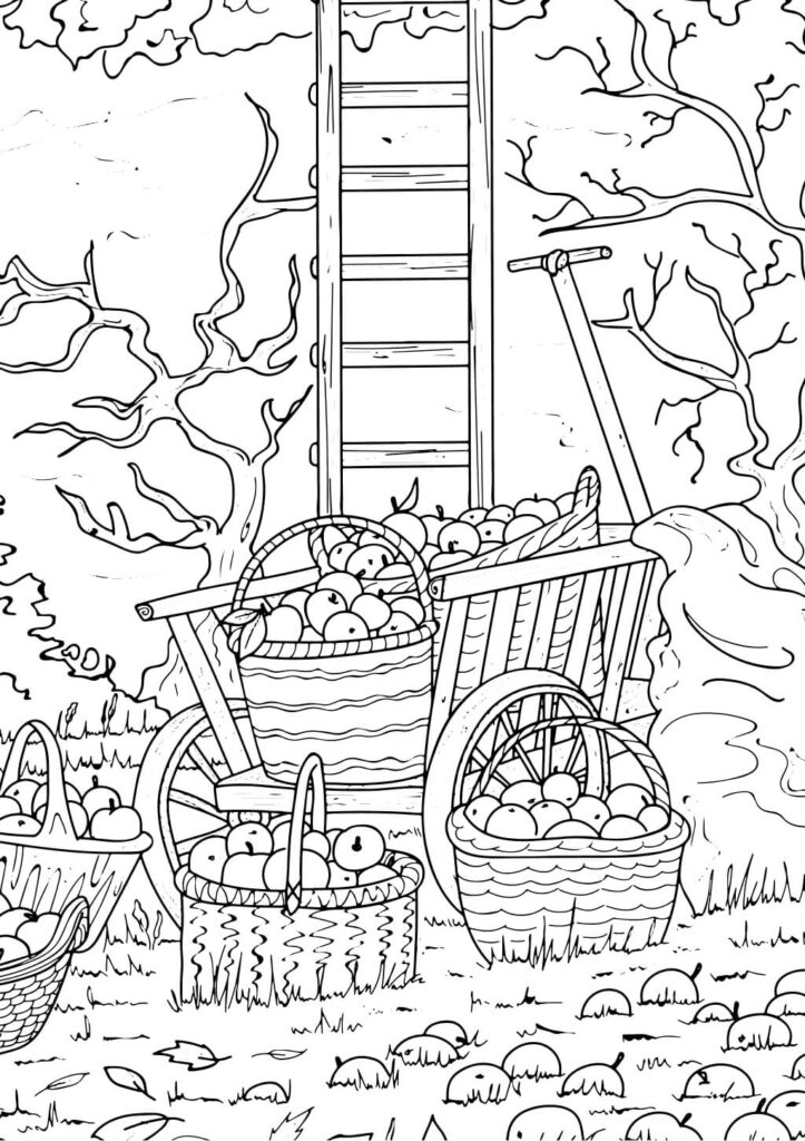 Ausmalbild Herbst – Ernte mit Apfelkörben und Leiter, kostenlose Malvorlage zum Drucken