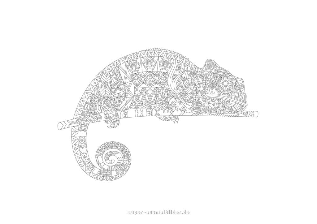Chamäleon Mandala Ausmalbild – Mandala Chamäleon auf Ast mit Ornamenten, Tiermandala Ausmalbild zum Ausdrucken, kostenlose Malvorlage für Erwachsene