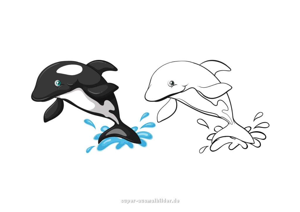 Delphin Ausmalbilder – zwei Delfine, einer koloriert, einer als Malvorlage zum Ausmalen, kostenlose Vorlage zum Drucken für Kinder