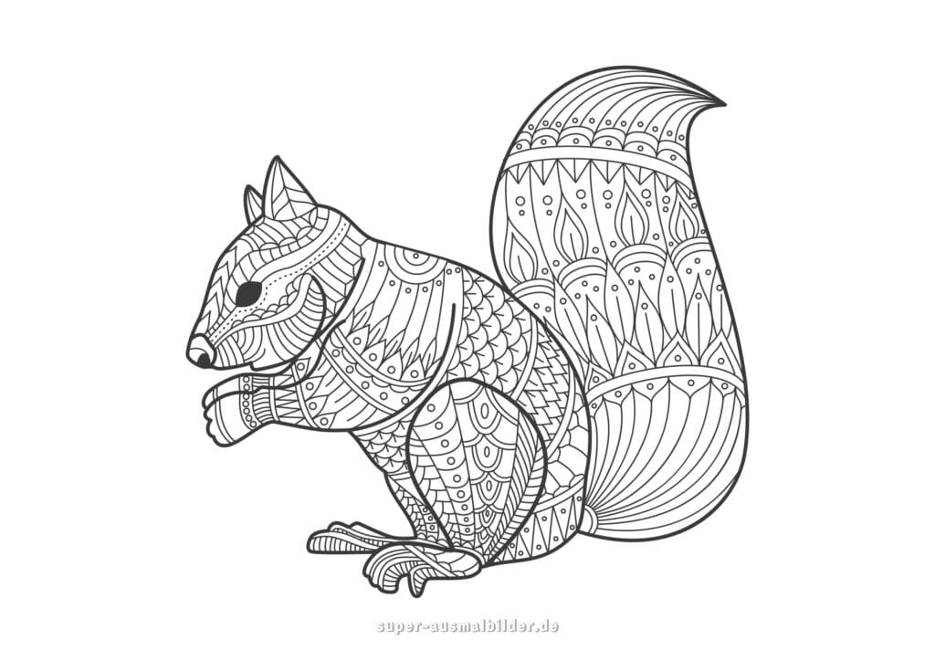 Eichhörnchen Mandala Ausmalbild – sitzendes Eichhörnchen mit großem buschigem Schwanz, Tier Mandala zum Ausmalen kostenlos für Kinder und Erwachsene