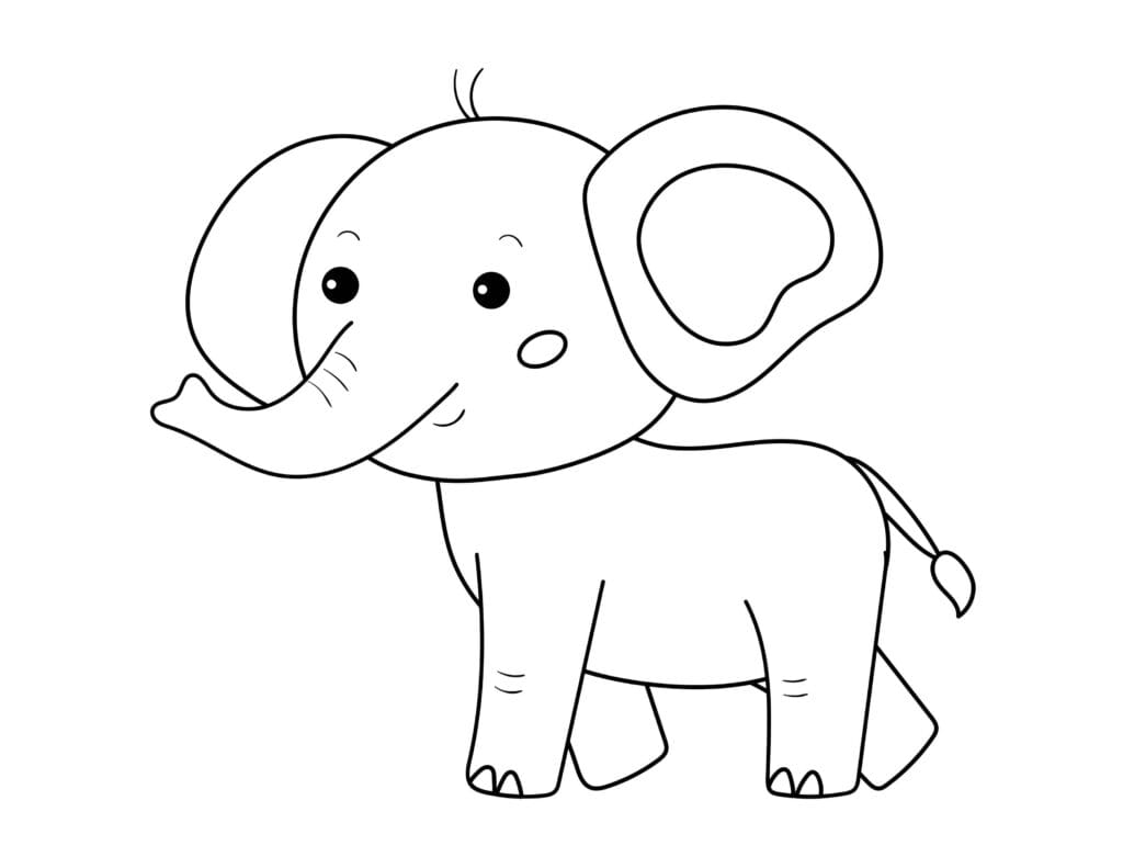 Elefant Ausmalbild kleiner Elefant mit großen Ohren und Rüssel, kostenlose Tier Malvorlage zum Drucken für Kinder