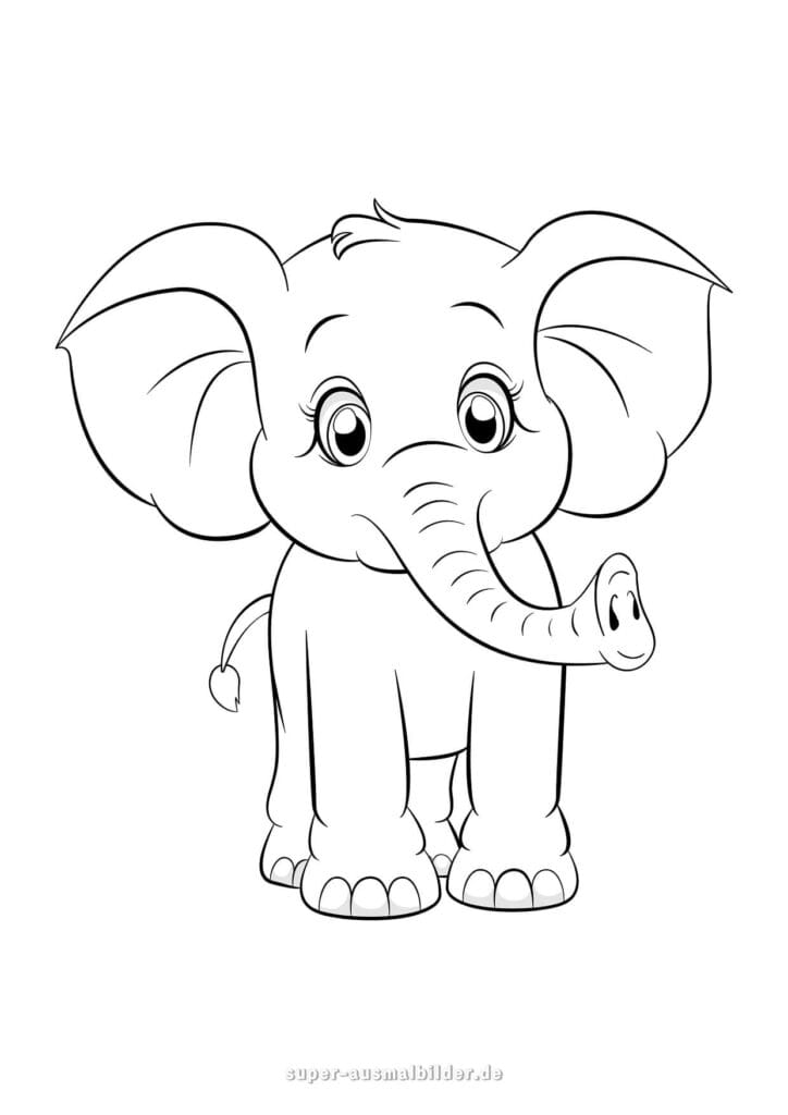 Elefant Malvorlage süßer Elefant von vorne mit großen Augen, Ausmalbild zum Drucken