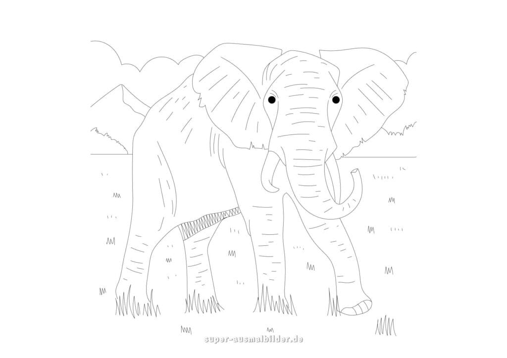 Elefant Malvorlage – Realistischer Elefant mit großen Ohren und langen Stoßzähnen, Vorlage zum Drucken und Ausmalen für Kinder