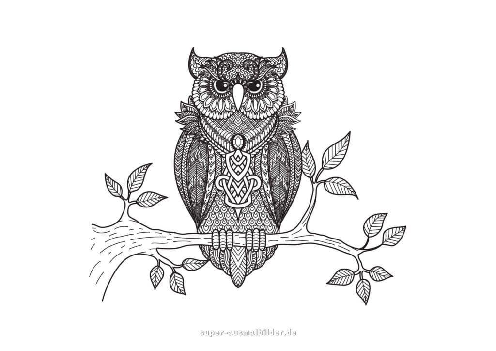 Eule Mandala Ausmalbild – Eule auf Ast mit Ornamenten, Tier Mandala Malvorlage für Erwachsene, Mandala Ausmalbild Eule zum Ausdrucken kostenlos
