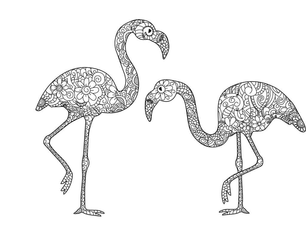 Flamingo Ausmalbilder Zwei dekorative Flamingos mit Blumen und Ornamentmustern, Malvorlage für Kinder und Erwachsene zum Ausdrucken kostenlos