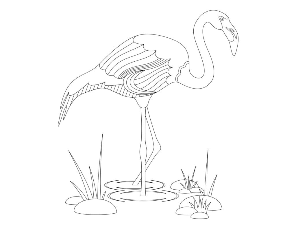Flamingo Malvorlage Eleganter Flamingo auf einem Bein im Wasser mit Pflanzen, Ausmalbilder kostenlos für Kinder zum Drucken