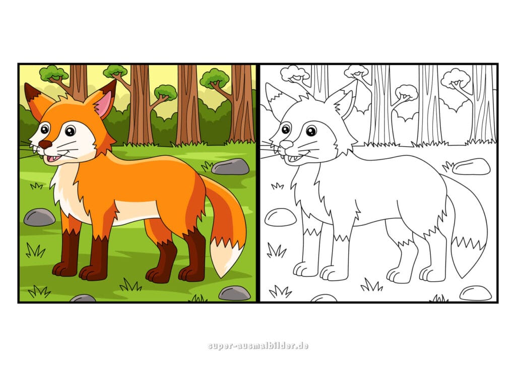 Fuchs Ausmalbild Realistischer Fuchs im Wald, Vorlage mit Beispiel in Farbe und zum Ausmalen, kostenlose Malbilder für Kinder