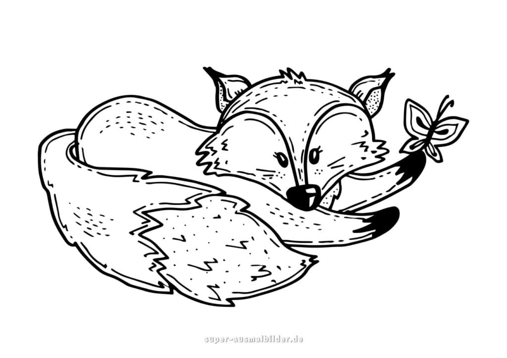 Fuchs Malvorlage Schlafender Fuchs mit Schmetterling auf dem Schwanz, schöne Ausmalbilder kostenlos für Kinder und Erwachsene