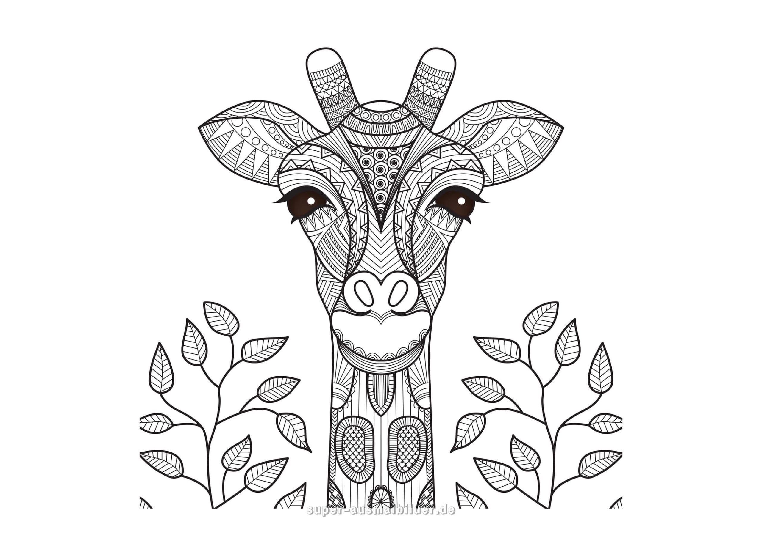 Giraffe Mandala Ausmalbild – Mandala Giraffen­kopf mit Blättern, detailreiches Tier Mandala zum Ausmalen, kostenlose Mandala Ausmalbilder Erwachsene und Kinder