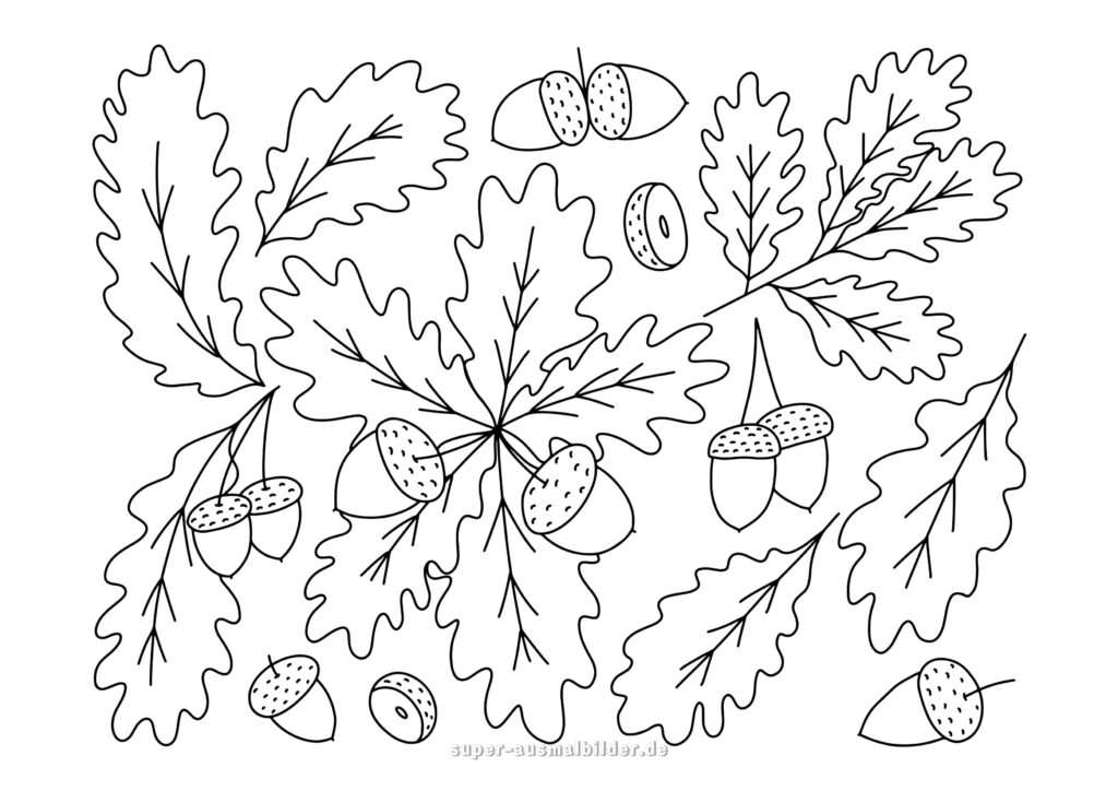 Herbst Ausmalbilder – Eichenblätter und Eicheln, klassische Malvorlage Herbst kostenlos zum Drucken