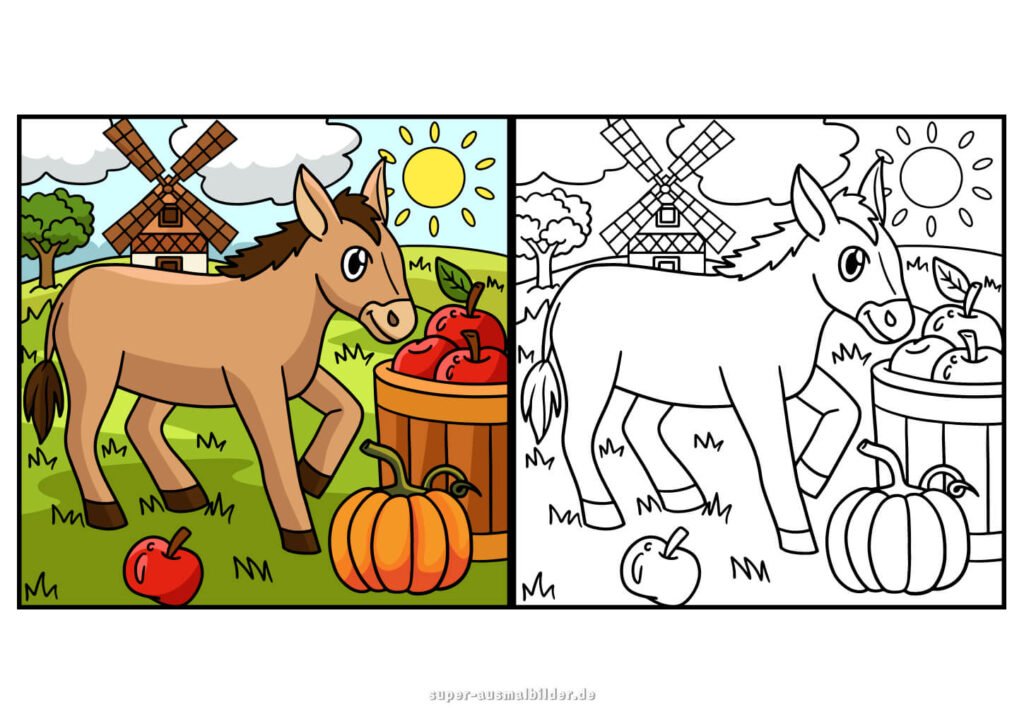Herbst Malvorlage – Pony neben Kürbis und Korb voller Äpfel, ländliche Herbstszene mit Windmühlen (mit farbigem Beispiel)