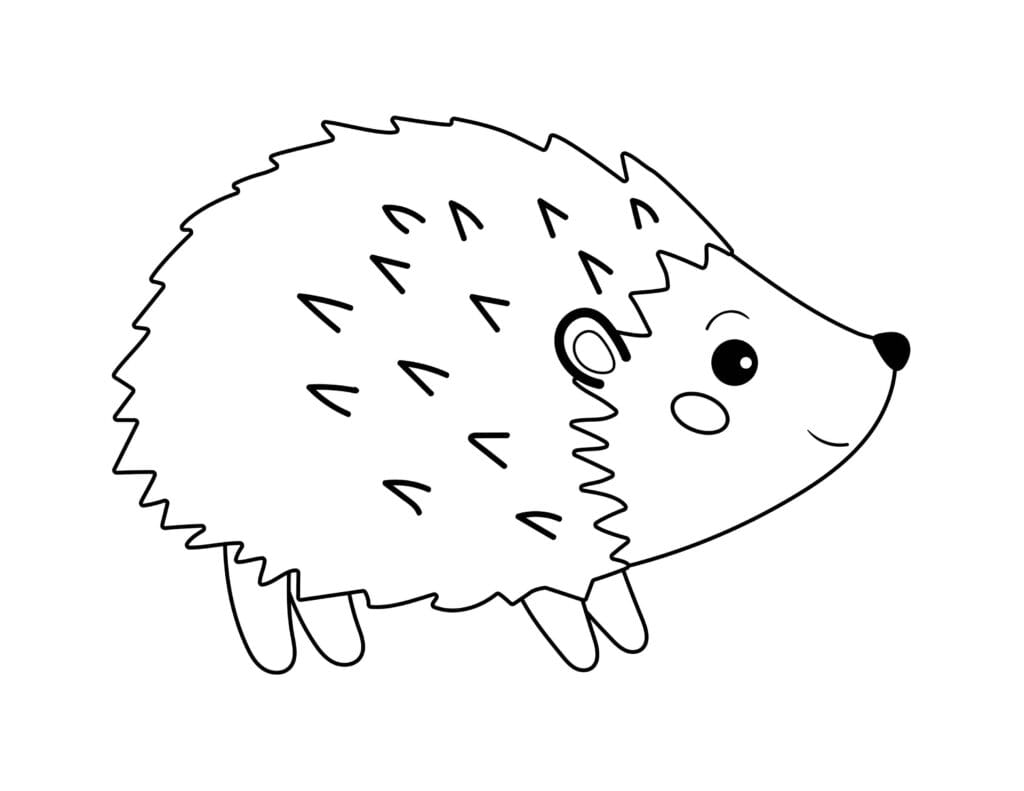 Igel Ausmalbild Süßer kleiner Igel mit Stacheln und rundem Körper, kostenlose Malvorlage zum Ausdrucken für Kinder