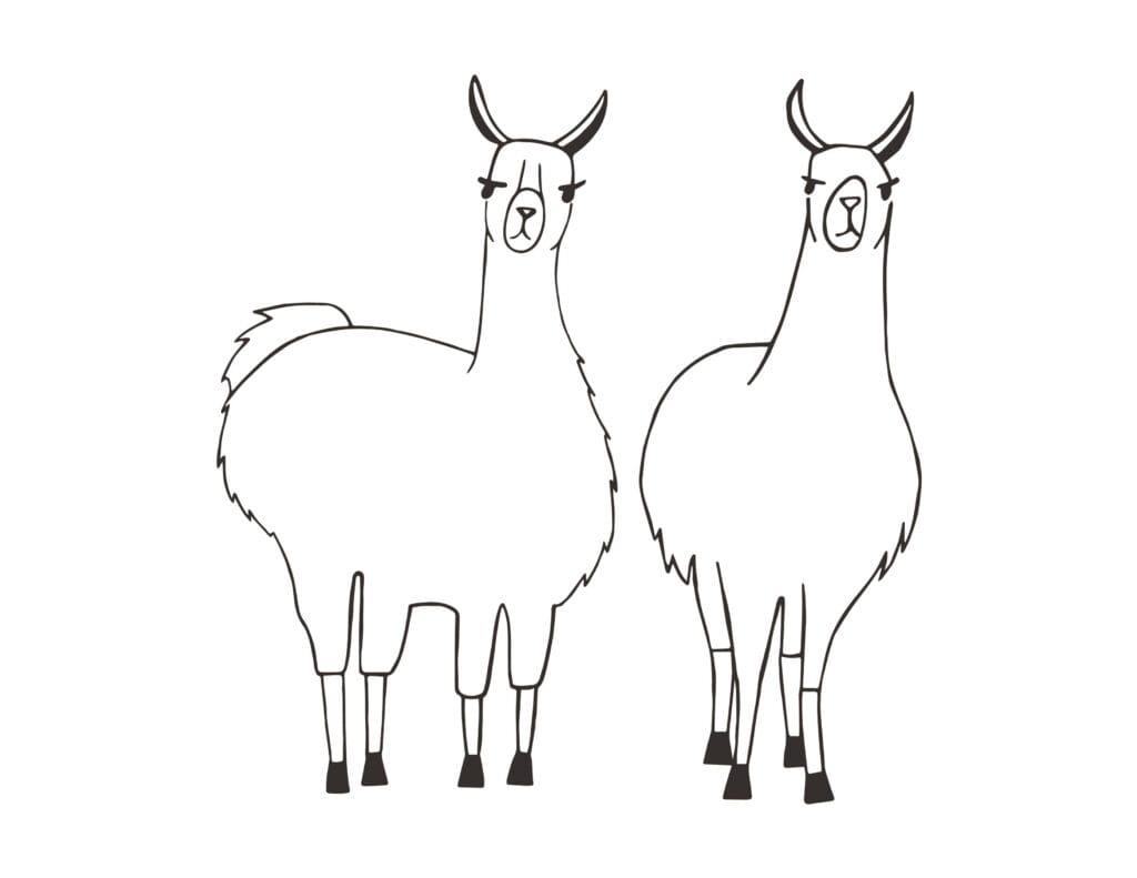 Lama Ausmalbilder Zwei stehende Lamas mit langen Hälsen und flauschigem Fell, kostenlose Malvorlage zum Drucken für Kinder