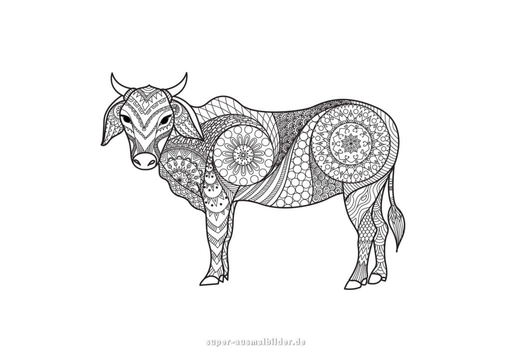 Löwe Mandala Ausmalbild – seitlicher Löwenkopf mit detailreicher Mähne, Tier Mandala Ausmalbild für Erwachsene, Mandala Ausmalbilder Tiere kostenlos zum Ausdrucken