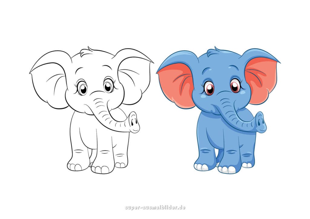 Malvorlage Elefant niedlicher Baby Elefant zum Ausmalen, Vorlage zum Drucken kostenlos