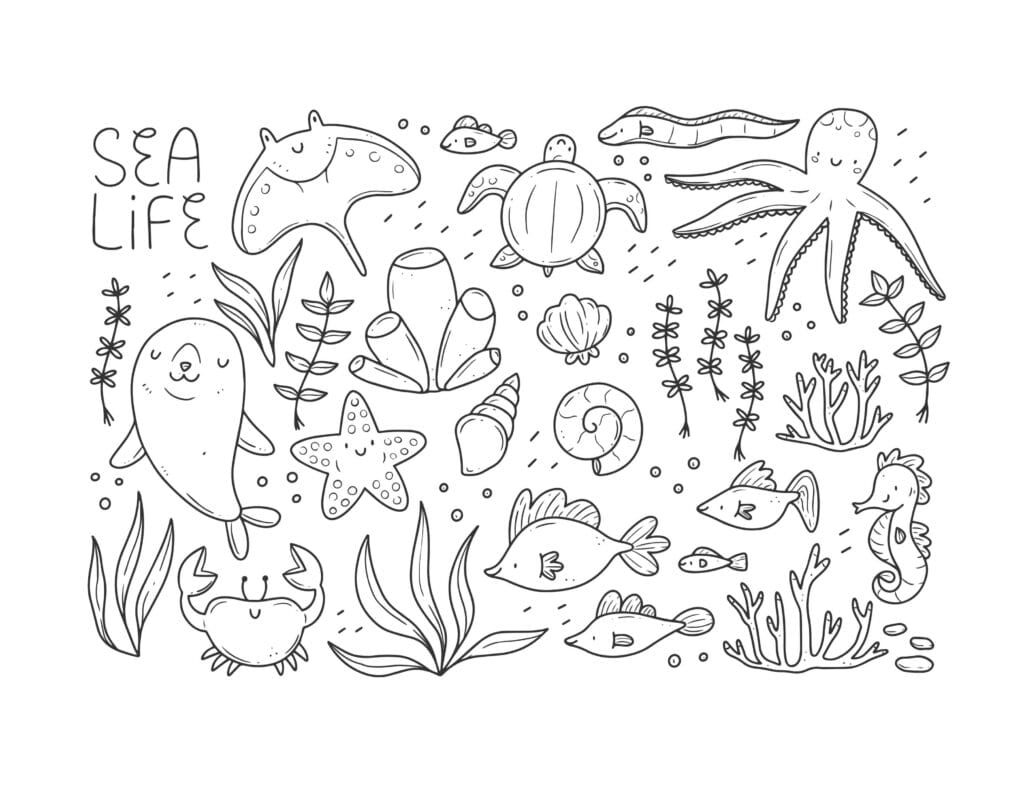 Meerestiere Ausmalbild – Seehund, Schildkröte, Oktopus, Fische, Seepferdchen und Krabbe, Unterwasser Malvorlage kostenlos zum Ausdrucken