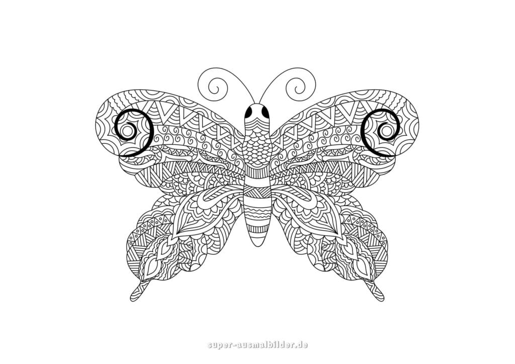 Nashorn Mandala Ausmalbild – Rhinozeros mit Verzierungen, Tier Mandala Ausmalbilder Erwachsene kostenlos zum Ausmalen und Drucken